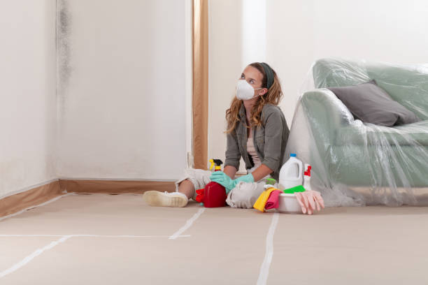 Reliable Mold Testing contractor in Somerset, MD by WQB Mold Removal
